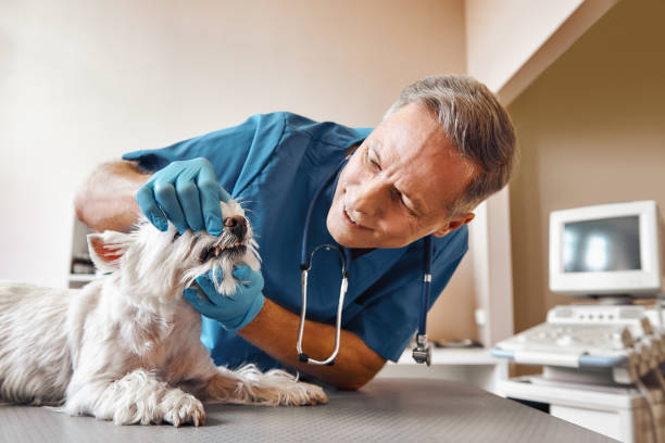 Best Emergency Wisdom Teeth Removal in Latimer, MS