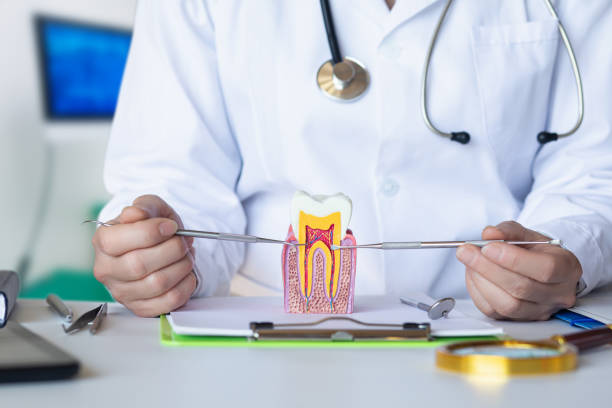 Best Emergency Orthodontic Services in Latimer, MS